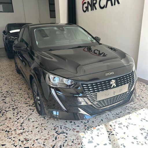 gnr_car (1)