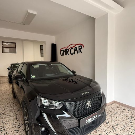 gnr_car (9)
