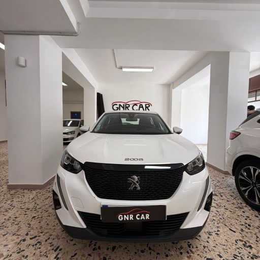 gnr_car_espertitalia (2)