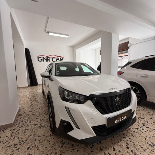 gnr_car_espertitalia (6)