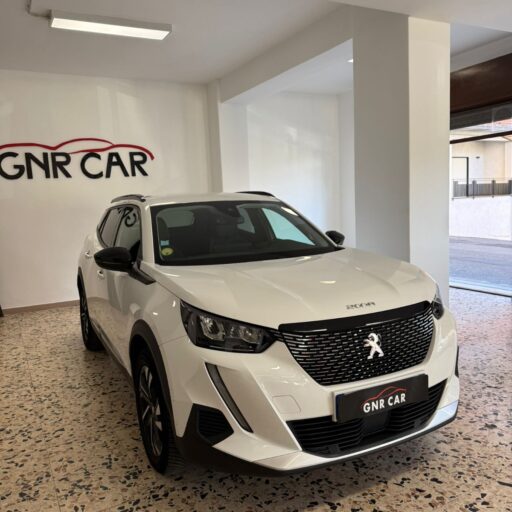 gnr_car_gallery_espertitalia (3)